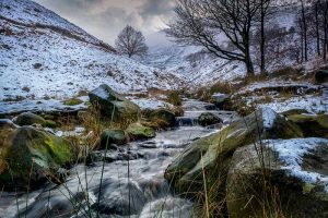 Dovestone Winter Snow Picture